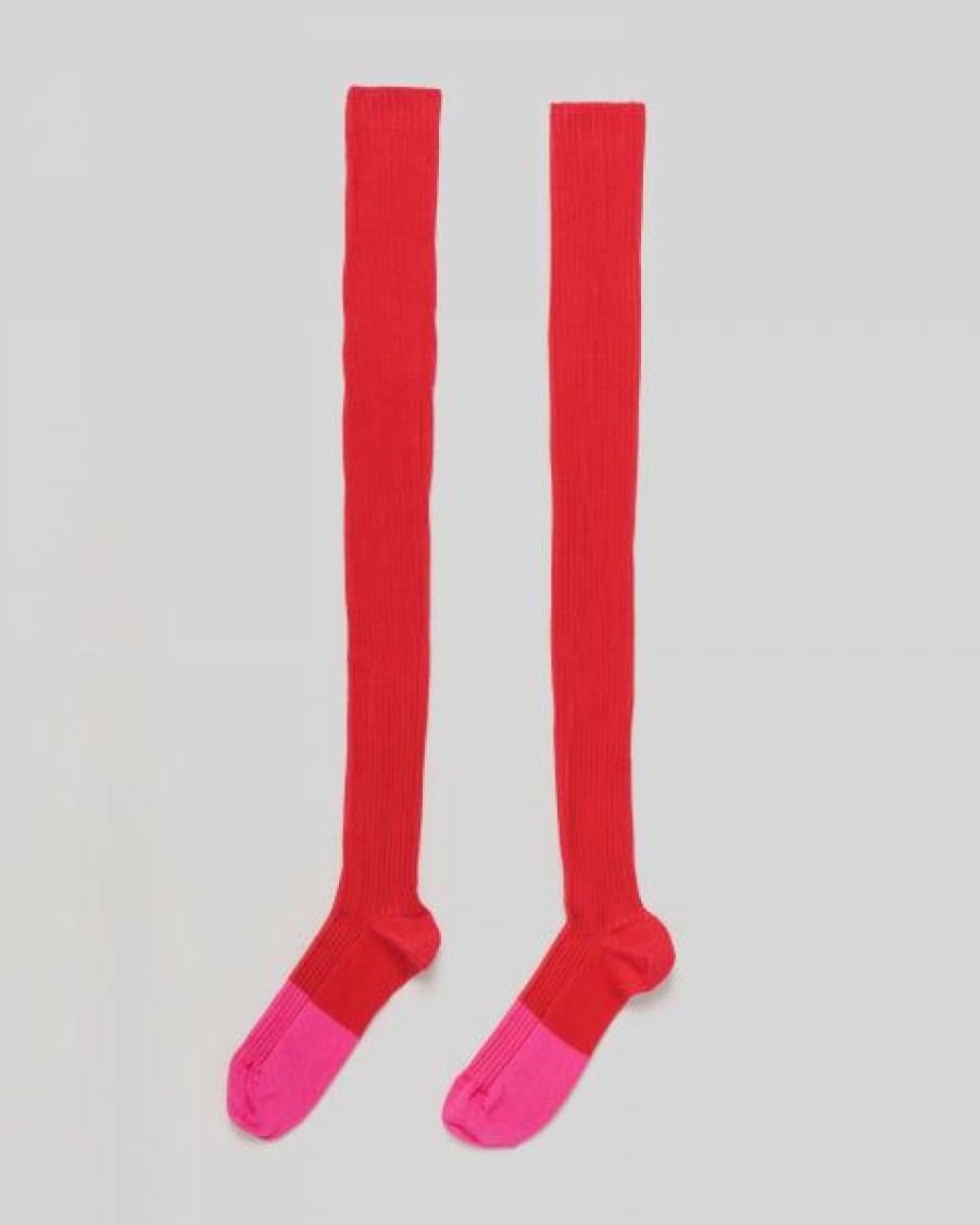 Woman * | Wholesale Port Northampton Baserange + Patou Over The Knee Socks